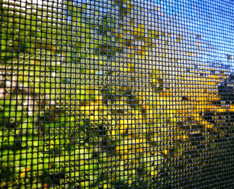 Doppelstabmattenzaun als Sichtschutz im Garten