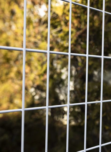 hintergrund-mit-metallischer-zaunbeschaffenheit hintergrund-mit-metallischer-zaunbeschaffenheit